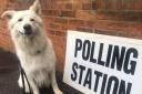 Local Elections 2024: Polling Day kicks off in Reading