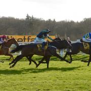 Altior (No. 1) returned to winning ways at Newbury  Pictures by Helen Edwards