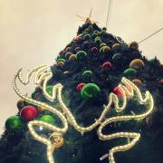 Christmas is coming (Vikki Peedle)