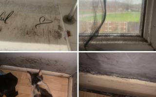 Photos from Samantha Richards showing the state of the mould at her home in Whitley Wood.