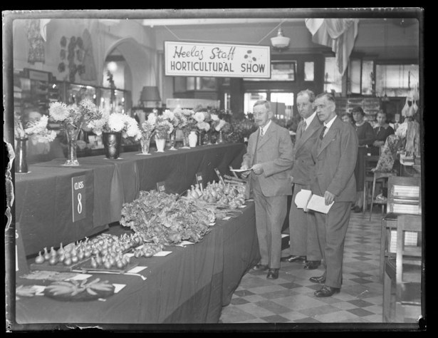 The 16th Annual Heelas Horticultural Show. Credit: Reading Chronicle Collection/Reading Museum