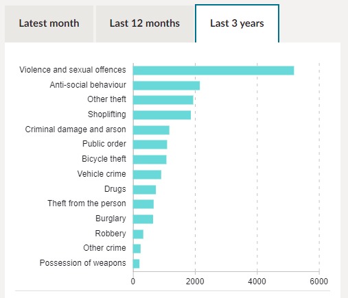 PICTURED: Reading crime in the last three years. Pic: Police.UK