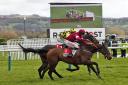 Shiskin (yellow/black) won the opener at Cheltenham Festival  Pictures by Sue Orpwood