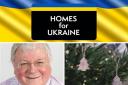 Bracknell Forest leader talks sustainable Christmas and Homes for Ukraine scheme