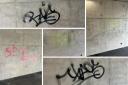 Ominous graffiti tags appear in underpass near racecourse