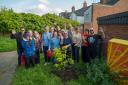 Reading garden centres donate trees to community garden for coronation campaign