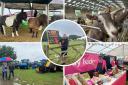 See pictures from the Newbury Show 2023.