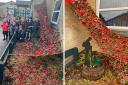 Beautiful Poppy display from Radstock Primary School for Remembrance Day