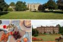 The best National Trust picnic spots in and around Berkshire