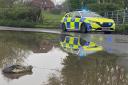 The police were called following sightings of the creature in a body of floodwater