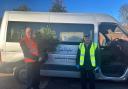 Kind-hearted volunteers collected trees from people’s homes