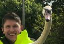 Real life 'Hot Fuzz' moment as police rescue swan