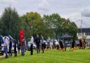 Guests at the Electric Vehicle Open Day event on the green at Winnersh Triangle. Credit: BD