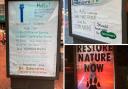 Hijacked advertising boards showing a distressed mother ostrich and 'Restore Nature Now' messaging.
