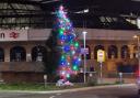 Half naked Christmas tree outside Reading station amuses public