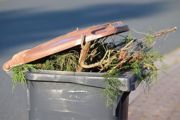 File photo of garden waste as HGV shortage hits waste collection in Wokingham