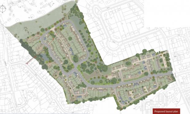 Reading Chronicle: PICTURED: The proposed site where the homes would go
