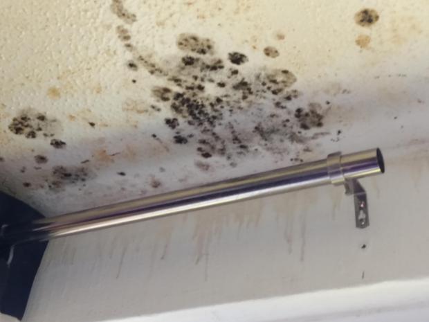 Reading Chronicle: Very bad mould and water staining on the ceiling of Elaine Parry-Taylor's council flat in Tilehurst. Credit: James Aldridge, Local Democracy Reporter