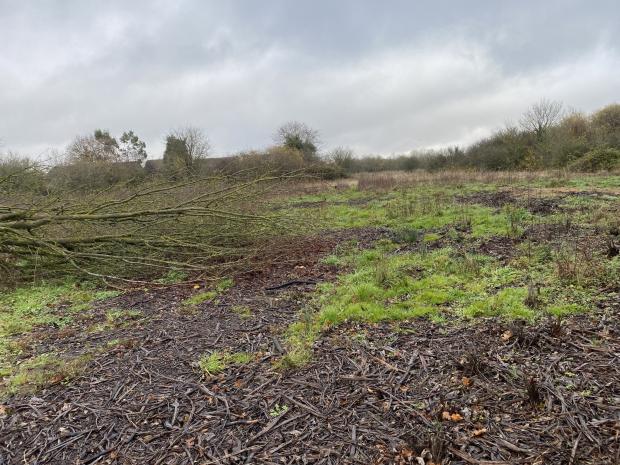 Reading Chronicle: Neighbours were up in arms over the alleged 'deforestation' of Swallows Meadow in November 2020. Credit: Councillor Pauline Jorgensen