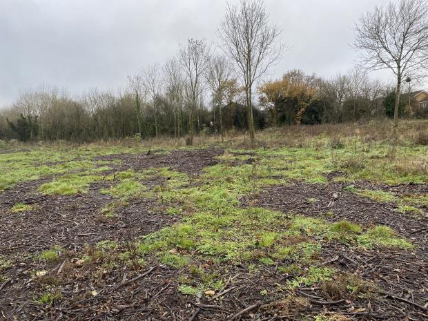 Reading Chronicle: What 'Swallows Meadow' in Lower Earley looked like during a site visit in Winter 2021. Credit: Councillor Pauline Jorgensen