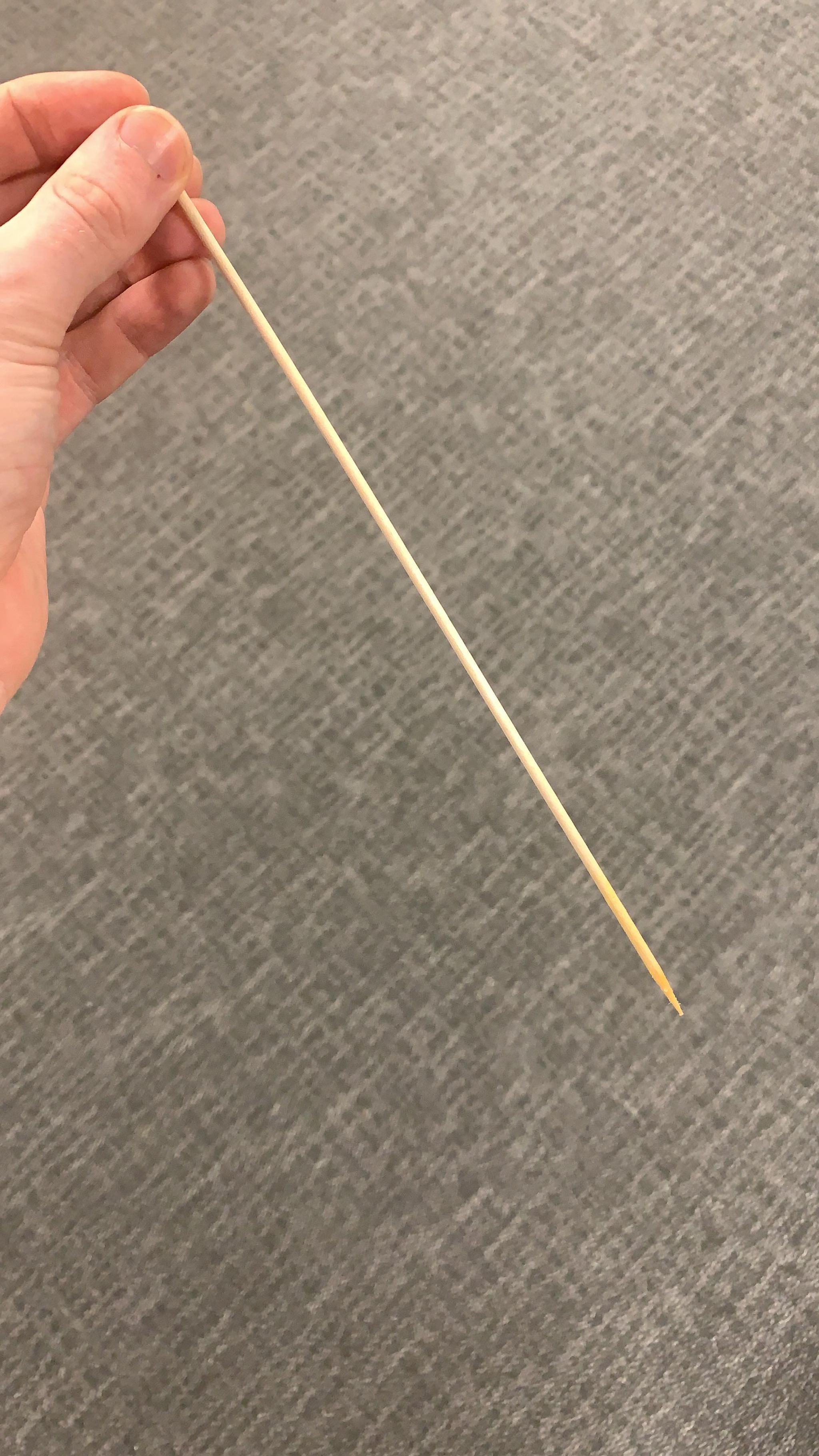 The pointed stick you are given to eat your chips with