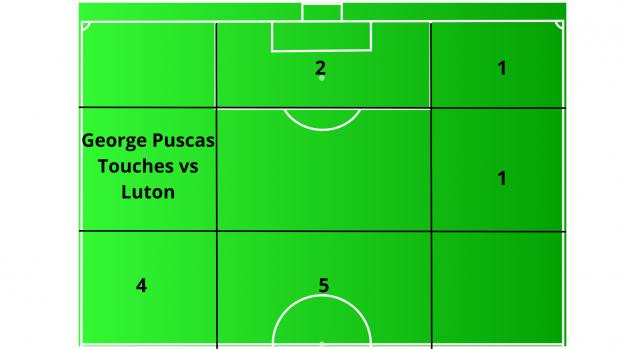 Reading Chronicle: Distribution of Puscas' touches vs Luton.