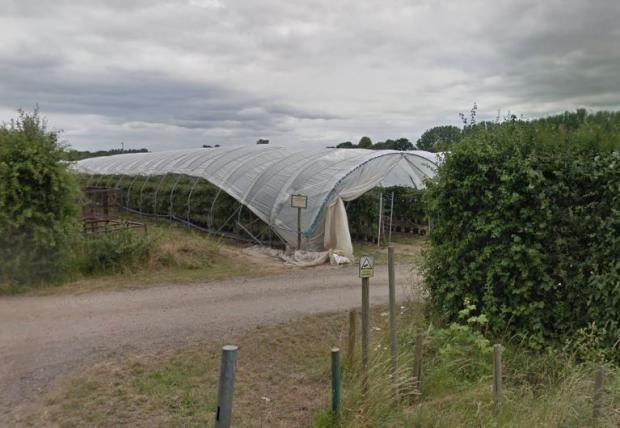 Reading Chronicle: Crops covered in polytunnels on land north of New Bath Road in Twyford. Credit: Google Maps