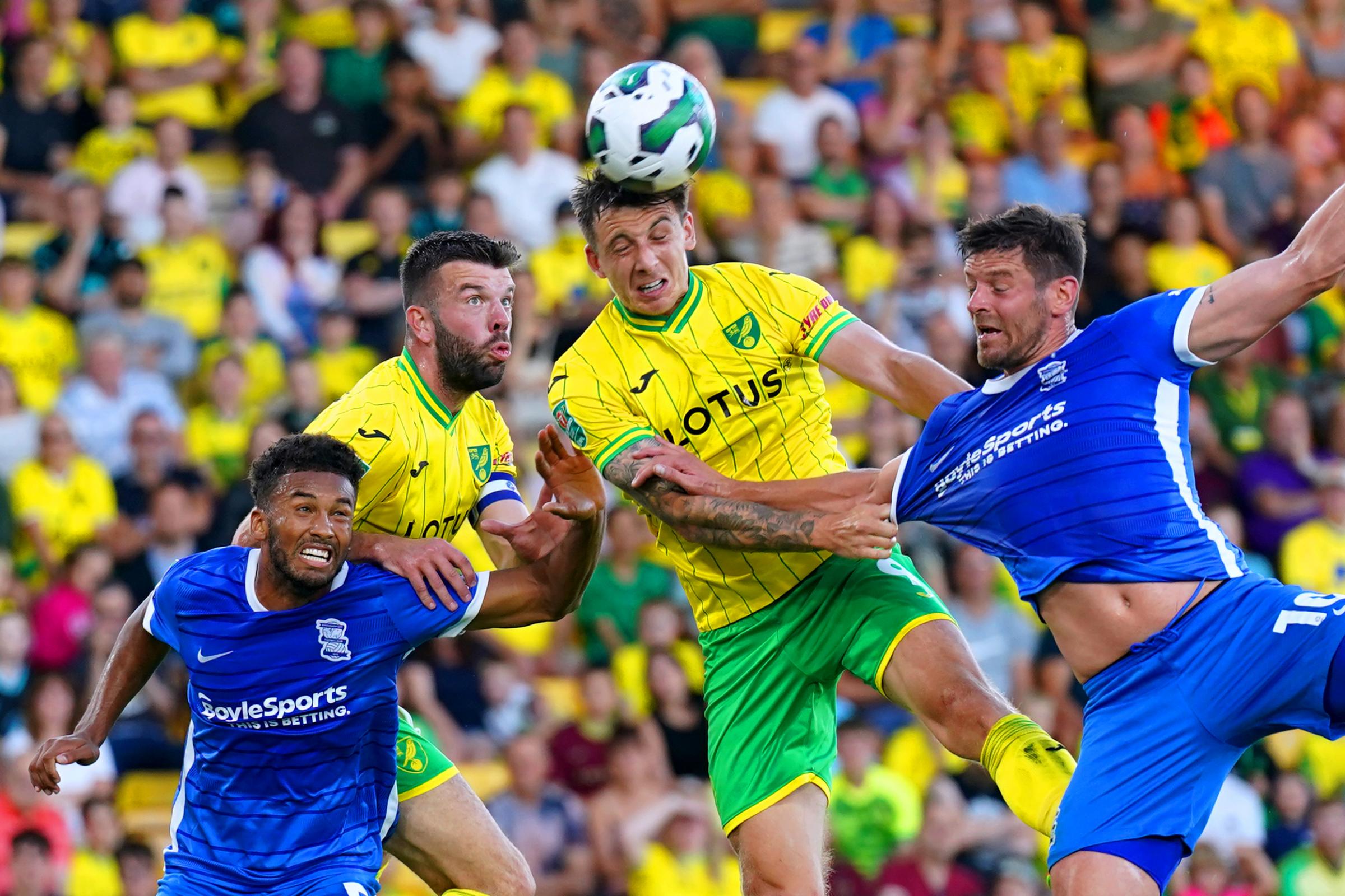 Reading 'submit bid' for Norwich City striker, reports claim - Vimarsana News