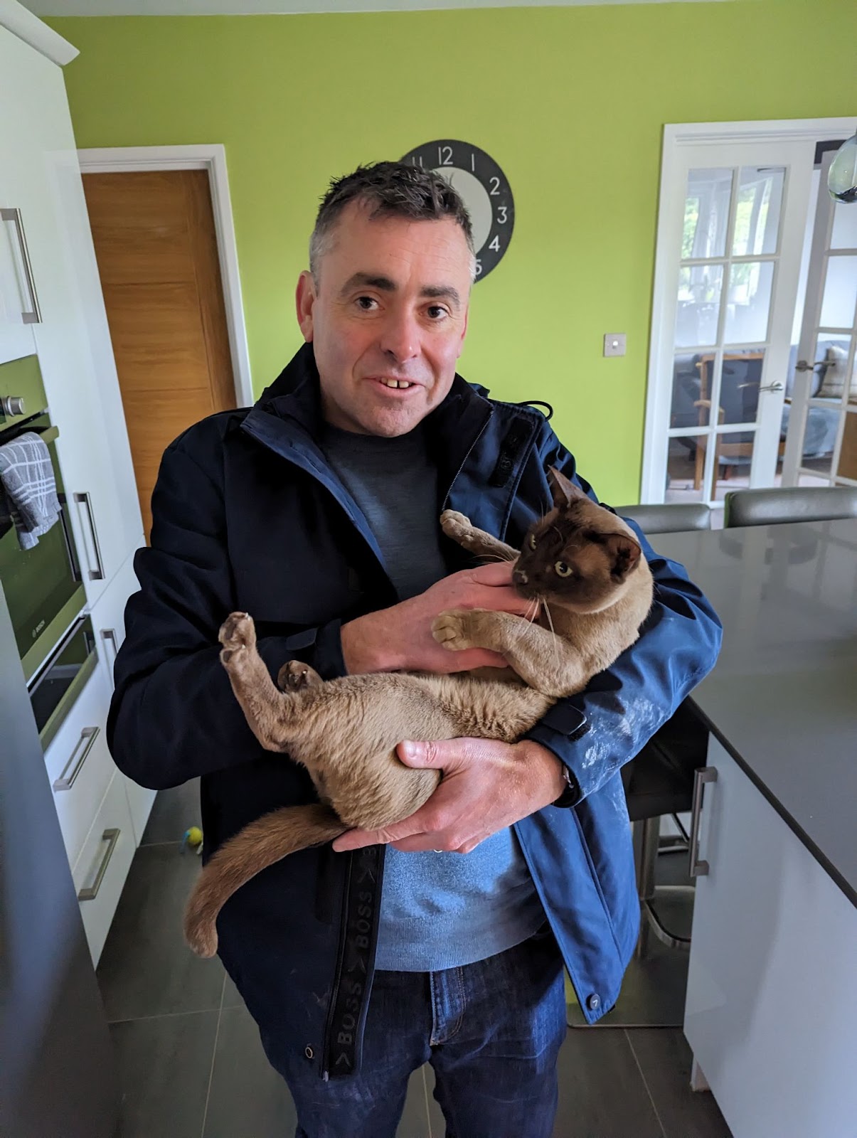Cat rescued after becoming trapped in neighbour's roof - Vimarsana News