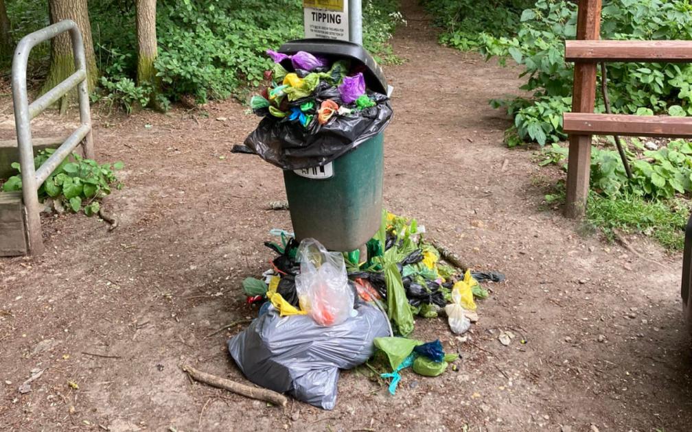 Walker at Sulham Woods slams council for leaving bins to overflow 