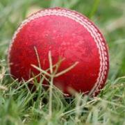 Cricket ball in the grass.