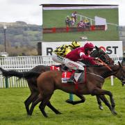 Shiskin (yellow/black) won the opener at Cheltenham Festival  Pictures by Sue Orpwood