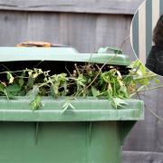 Adele Barnett-Ward, Reading councillor for neighbourhoods and communities, and a bin full of garden waste, which will be collected by the council again from Monday. September 6