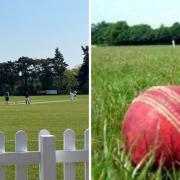 Cricket club announces untimely passing of cherished club member