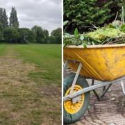 Left, 'mess' left after an event in Christchurch Meadows and right, green waste, both issues in Reading which have been the subject of Freedom of Information requests. Credit: LDRS / Stock