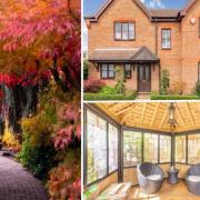 70s pop star selling £900K home complete with incredible Japanese garden and koi ponds