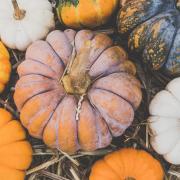 Where you can pick your own pumpkins before Halloween in Berkshire
