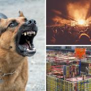 Sources of noise complaints, dogs barking, outdoor events and construction work. Credit: Pixabay users Christels, Pexels and Joffi