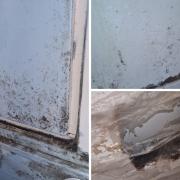 The bad cases of mould at the Boateng family home in Newcastle Road, Reading. Credit: Dave Boateng