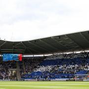 Reading fans encouraged to raise scarves ahead of Wycombe clash for visual spectacle