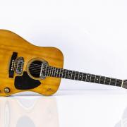 Guitar owned by Tony Sheridan when he played with The Beatles