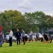 Guests at the Electric Vehicle Open Day event on the green at Winnersh Triangle. Credit: BD