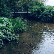 River pang