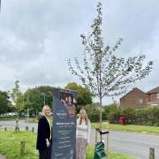 Tree planting by Theale-based insurance and financial services company, Macbeth in Dee Road, West Reading. Pictured are Mandy Everest and Charlie Bishop from Macbeth. Credit: Kathryn McCann