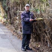 Neighbours angry after man 'hacks' away at foliage on busy road