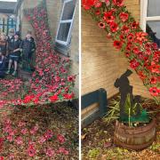 Beautiful Poppy display from Radstock Primary School for Remembrance Day