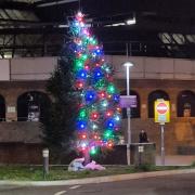 Half naked Christmas tree outside Reading station amuses public