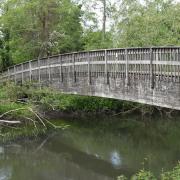Footbridge over the river Loddon