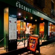 The Coconut Tree will host live music throughout February