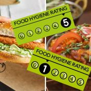 Burger King and chicken shop among latest food hygiene ratings in Reading